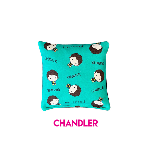 Friends Cornhole Bags