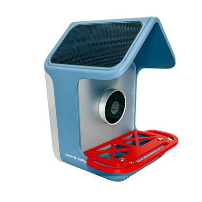 Seed Grate Perch for Bird Buddy 2
