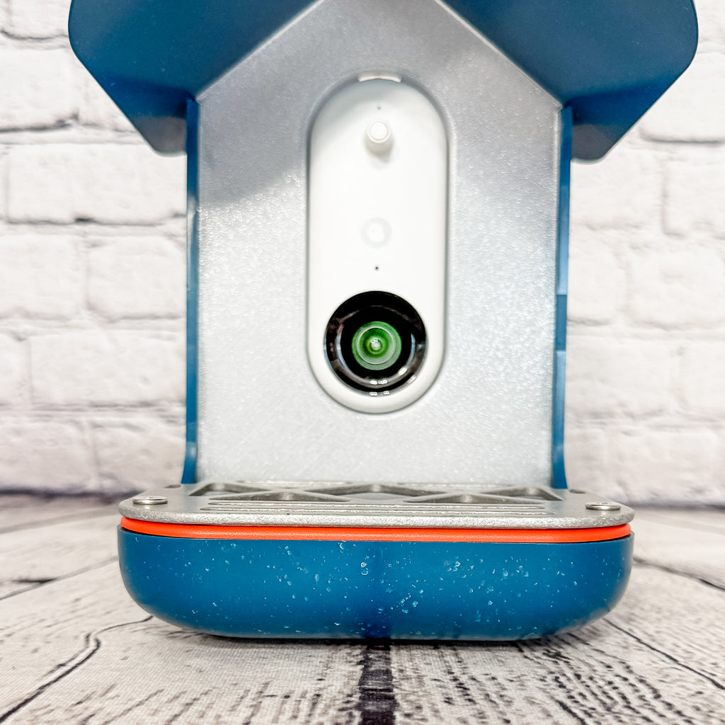 Metal Seed Grate for Bird Buddy